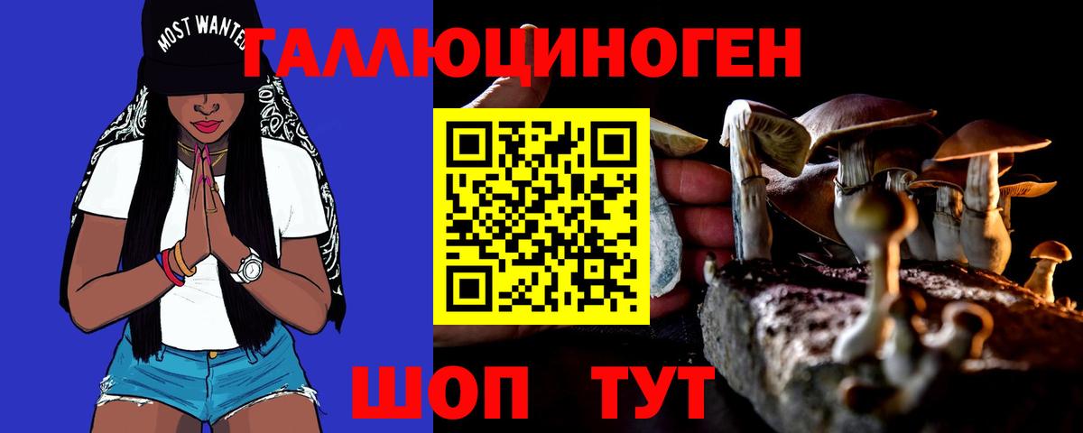Псилоцибиновые грибы ЛСД  Вход с VPN  Саки  Галлюциногенные грибы ЛСД 